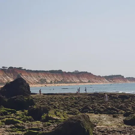 Alexia * Αλμπουφέιρα